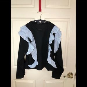 Zara sweatshirt 